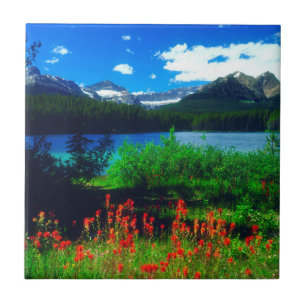 Indianische Pinselblumen Fliese