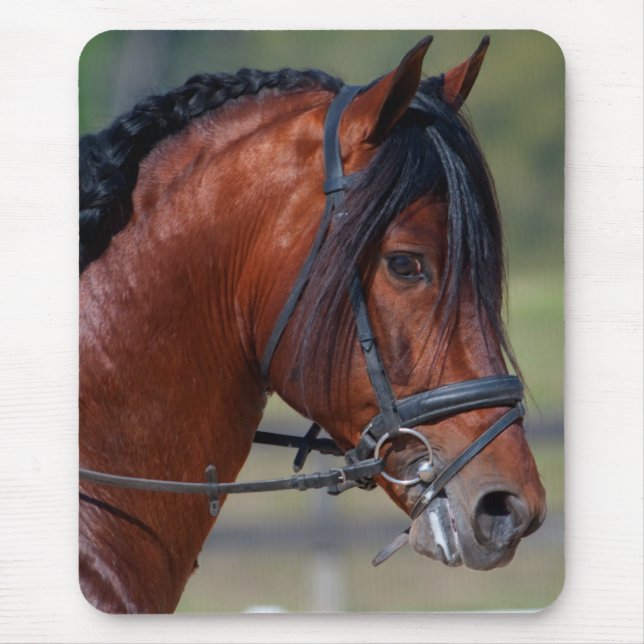 INDICO VII MOUSEPAD (Vorne)