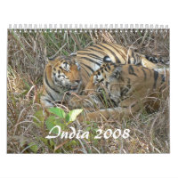 Indien 2008