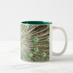 Indien-Blau-Pfau Zweifarbige Tasse