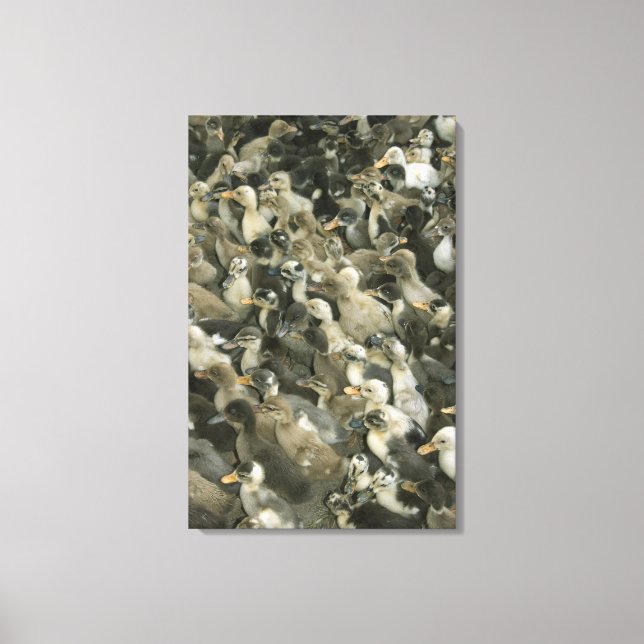 Indien Leinwanddruck (Vorderseite)