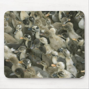 Indien Mousepad