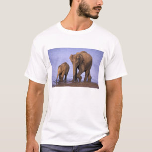Indien, Nagarhole National Park. Asiatischer Elefa T-Shirt