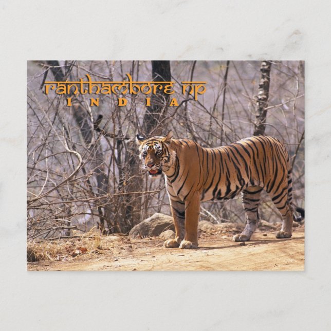 Indien Postkarte (Vorderseite)