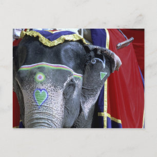 Indien, Rajasthan, Jaipur. Bernsteinfarbiges Fort Postkarte