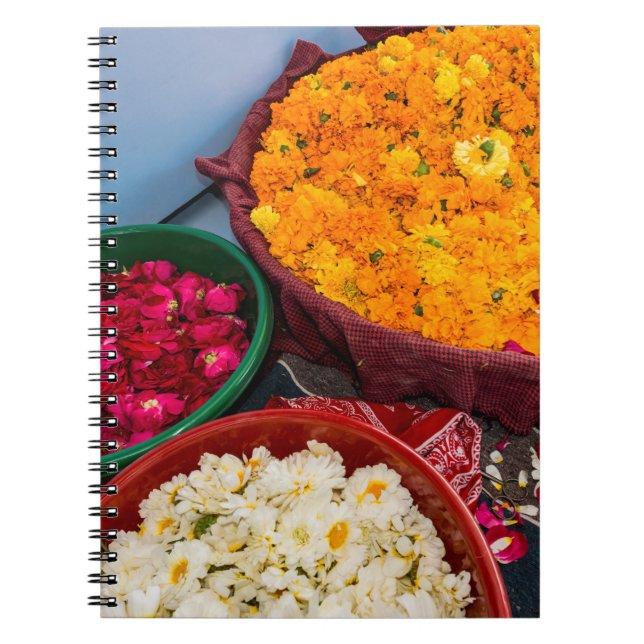 Indien, Rajasthan, Pipar Notizblock (Vorderseite)