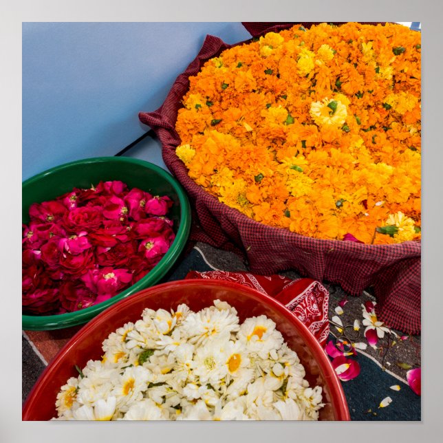 Indien, Rajasthan, Pipar Poster (Vorne)