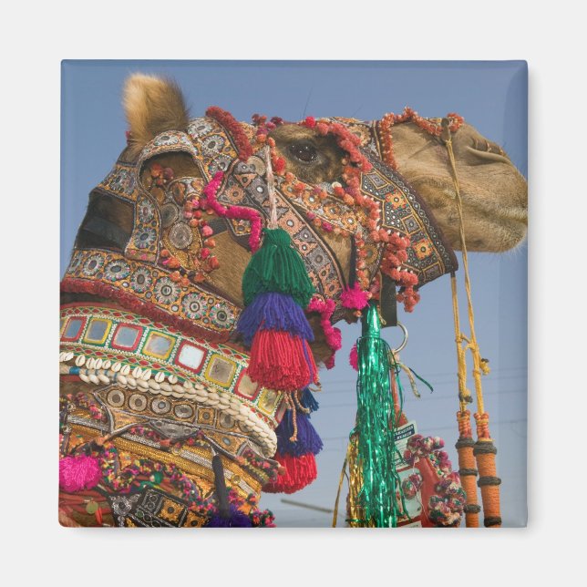 INDIEN, Rajasthan, Pushkar: PUSHKAR CAMEL FAIR, Magnet (Vorne)