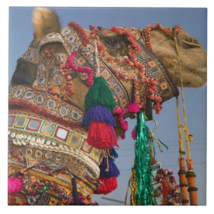 INDIEN, Rajasthan, Pushkar: PUSHKAR KAMELMESSEN, Fliese