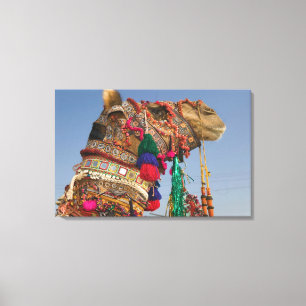 INDIEN, Rajasthan, Pushkar: PUSHKAR-KAMELMESSEN, Leinwanddruck