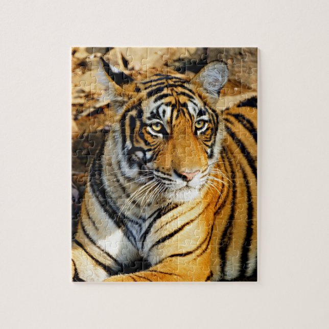 Indien, Sawai Madhopur, Ranthamoring National Puzzle (Vertikal)