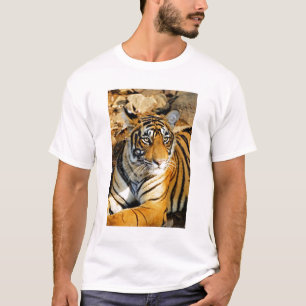 Indien, Sawai Madhopur, Ranthamoring National T-Shirt