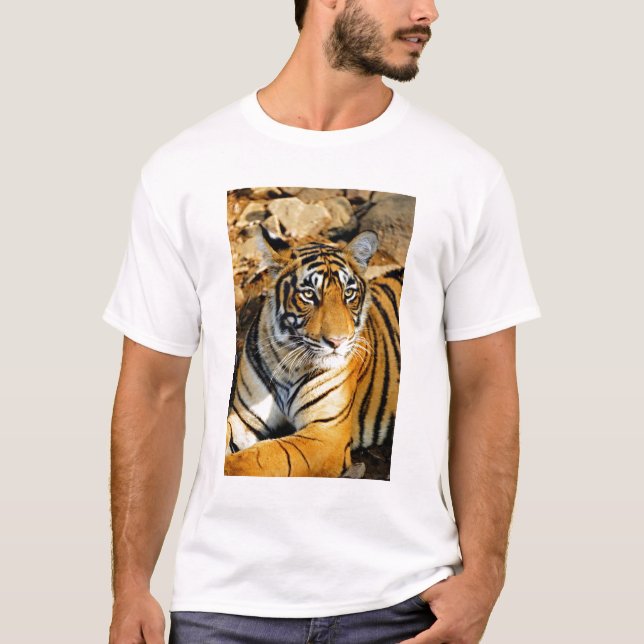 Indien, Sawai Madhopur, Ranthamoring National T-Shirt (Vorderseite)