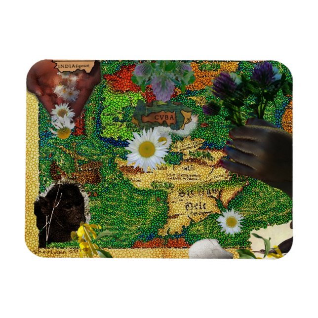 Indien und Kuba Magnet (Horizontal)