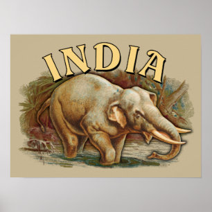 Indien Wildlife - Indischer Elefant Poster
