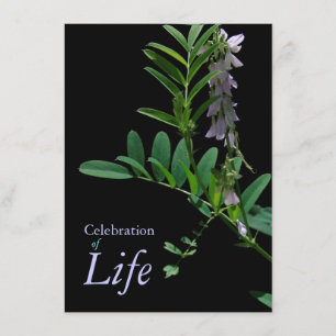 Indigo 1 Feier zur Beerdigung des Lebens Einladung