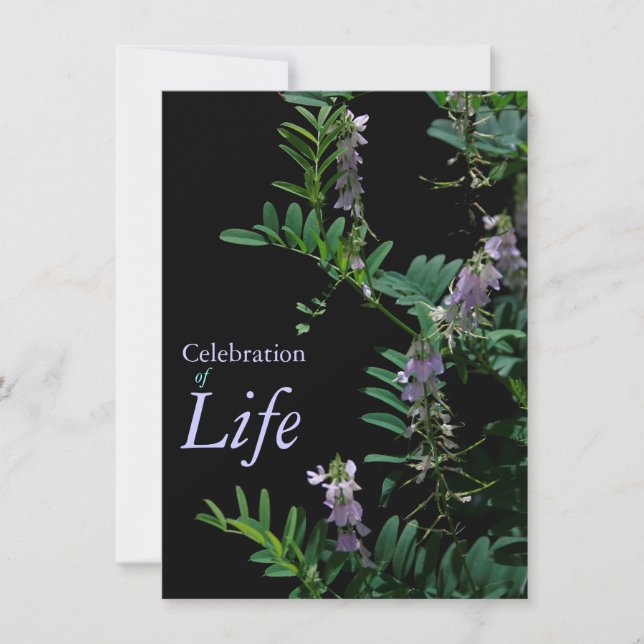 Indigo 3 Feier der Beerdigung des Lebens Einladung (Vorderseite)