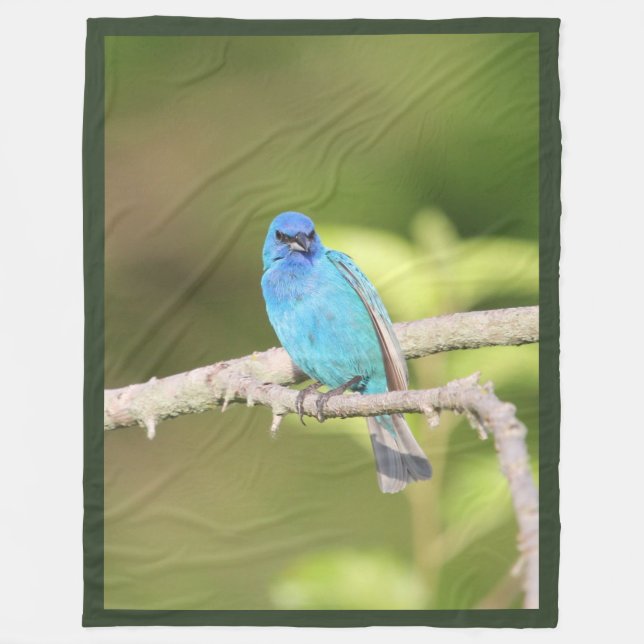 Indigo Bunting Fleecedecke (Vorderseite)