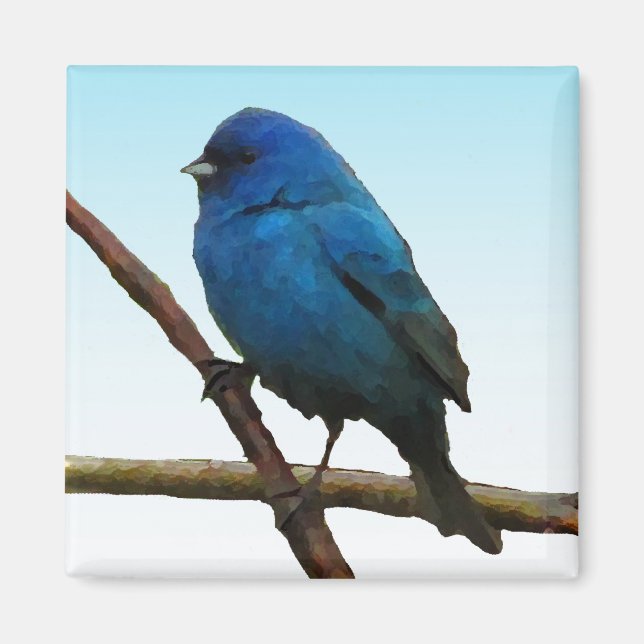 Indigo Bunting Magnet (Vorne)