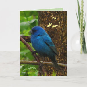 Indigo Bunting Mother's Day Karte