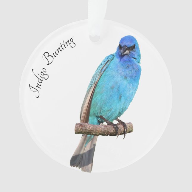 Indigo Bunting Ornament (Vorderseite)