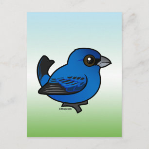Indigo Bunting Postkarte