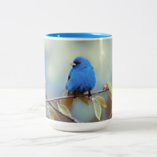 Indigo Bunting Tasse