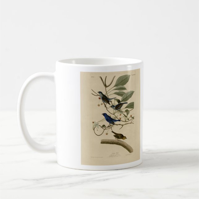 Indigo Bunting von Audubons Vögeln in Amerika Kaffeetasse (Links)