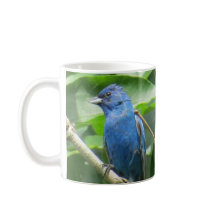 Indigo Buntings Kaffeezubereitung durch BirdingCol
