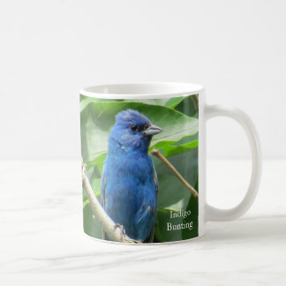 Indigo Buntings Kaffeezubereitung durch BirdingCol Kaffeetasse