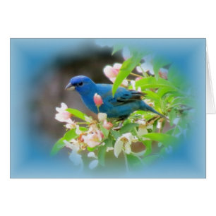 Indigo-Flaggen-Blues