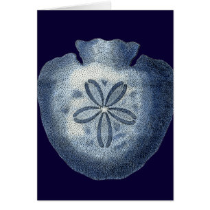 Indigo-Muscheln III