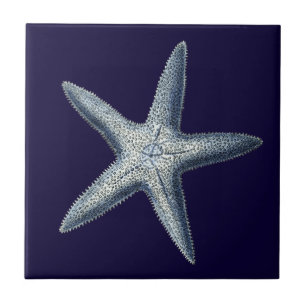 Indigo-Muscheln IV Fliese