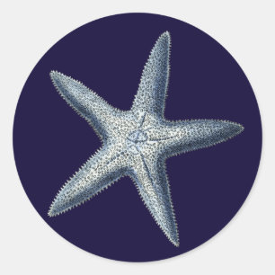 Indigo-Muscheln IV Runder Aufkleber