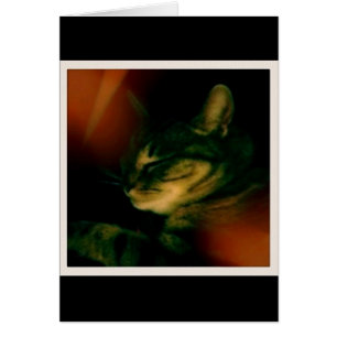 Indigo Naptime Closeup