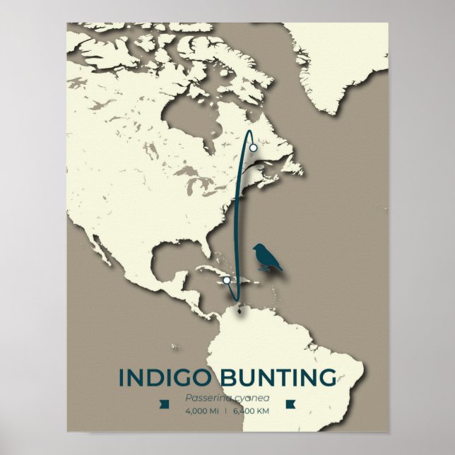 Indigo-Rangiermigrationskarte - Minimalistisch Vin Poster (Vorne)