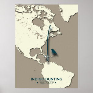 Indigo-Rangiermigrationskarte - Minimalistisch Vin Poster