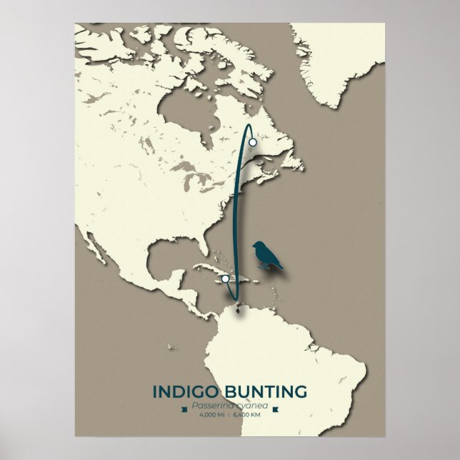 Indigo-Rangiermigrationskarte - Minimalistisch Vin Poster (Vorne)