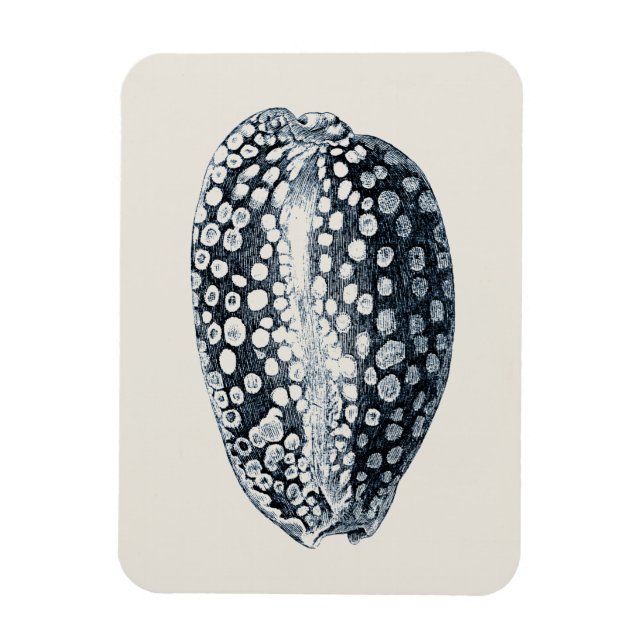 Indigo Seashell Magnet (Vertikal)