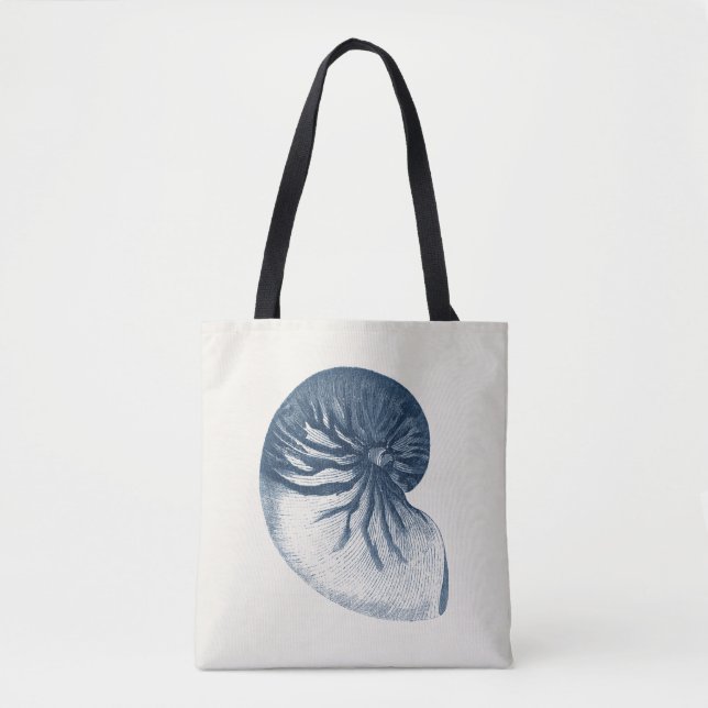 Indigo Shark Eye Seashell (Vorderseite)