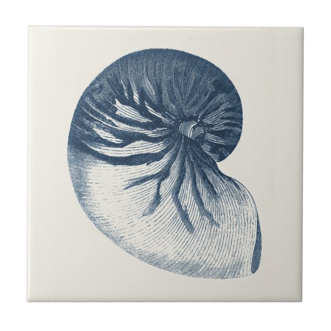 Indigo Shark Eye Seashell Fliese (Vorderseite)