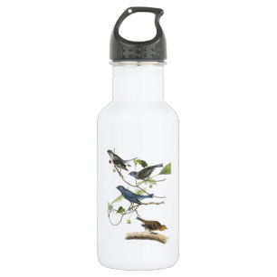 Indigofink von Audubon Trinkflasche