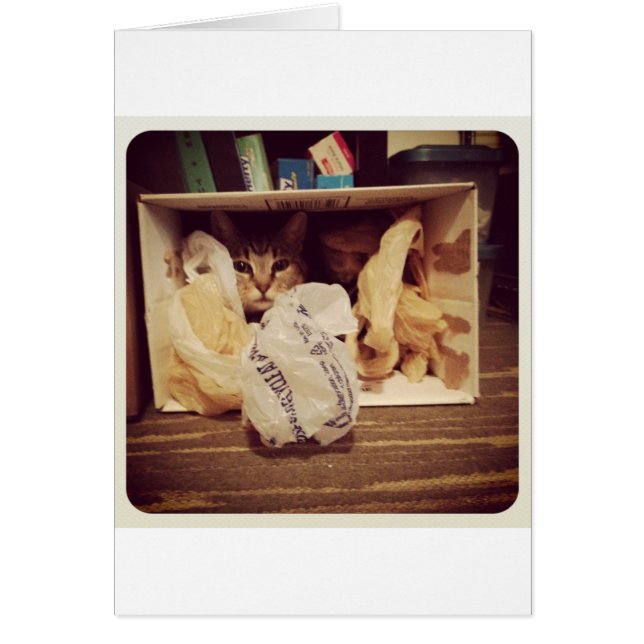 Indigo's Secret Hideout (Vorne)