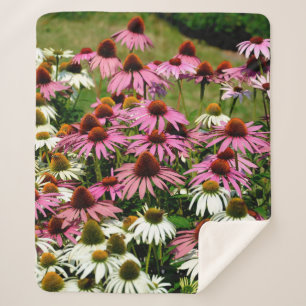 Indische Amerikaner, die sich mit Wurzelflüchtlin Sherpadecke