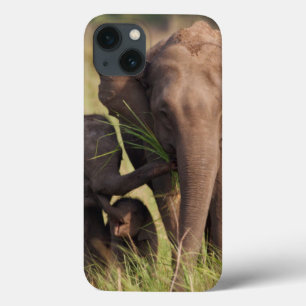 Indische Asiatische Elefantenfamilie in der Savann Case-Mate iPhone Hülle