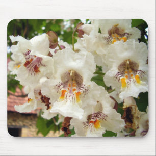 Indische Bean Tree Blume Mouse Mat Mousepad