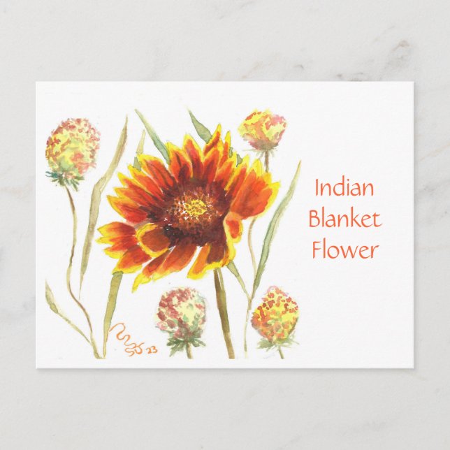 Indische Blanket-Blume Postkarte (Vorderseite)