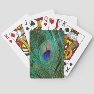 Indische blaue Pfau-Feder Spielkarten