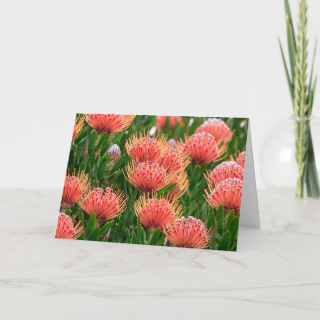 Indische Blume, Kapstadt Südafrika Feiertagskarte (Vorderseite)