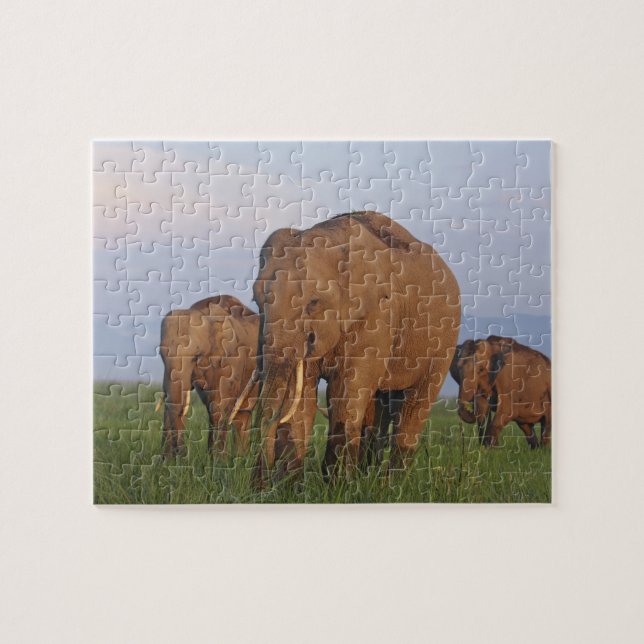 Indische Elefanten im Grassland Puzzle (Horizontal)